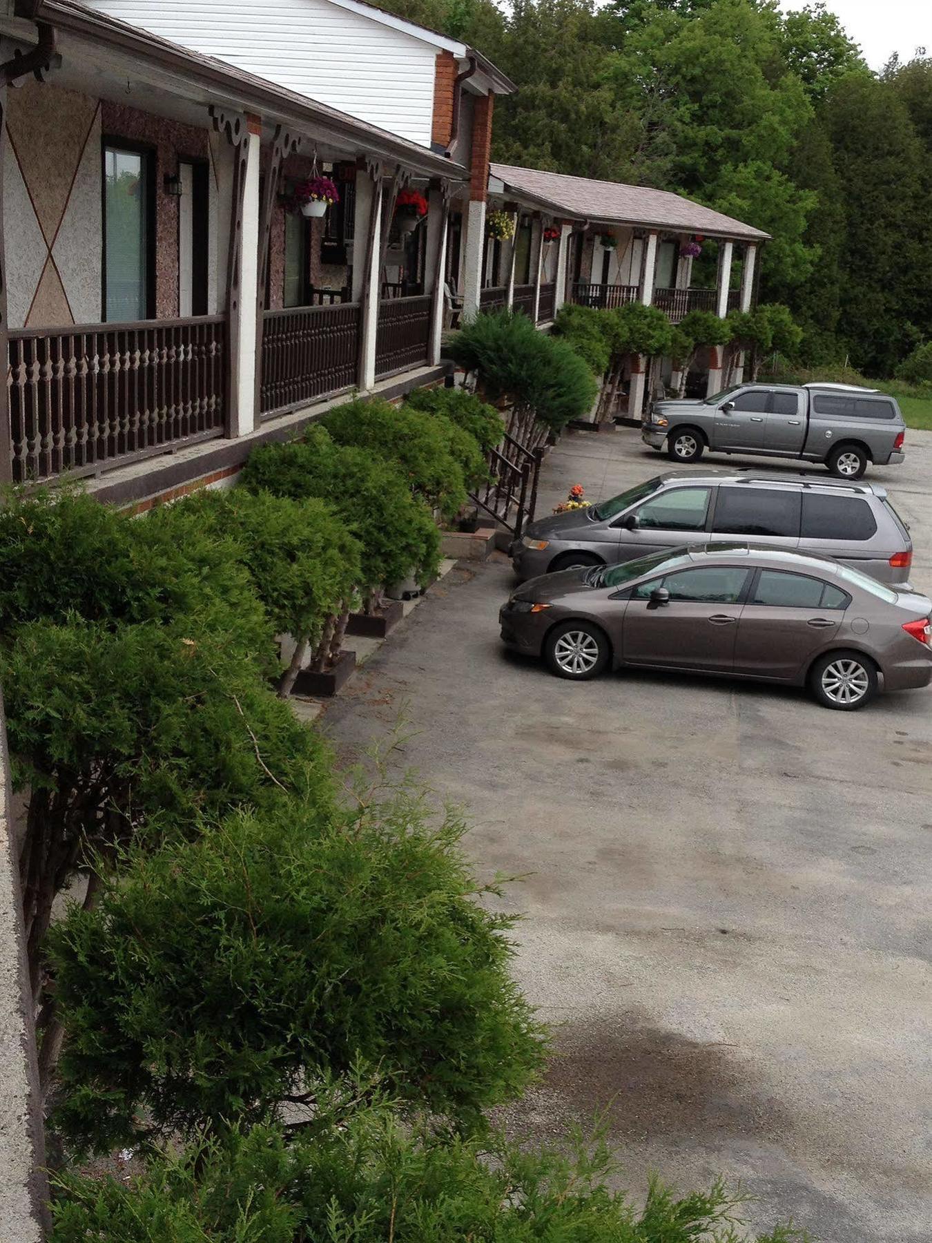 Cedar Springs Motel Acton Exteriér fotografie